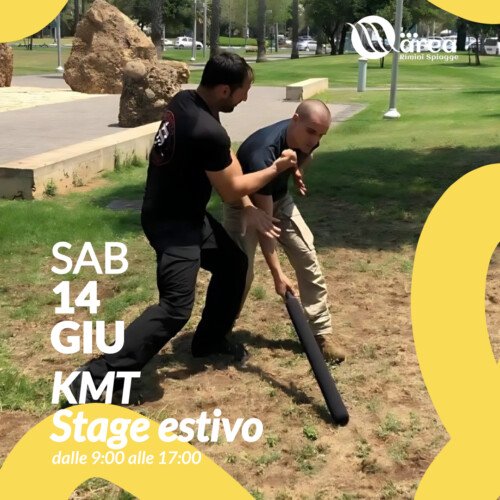 stage-estivo-krav-maga